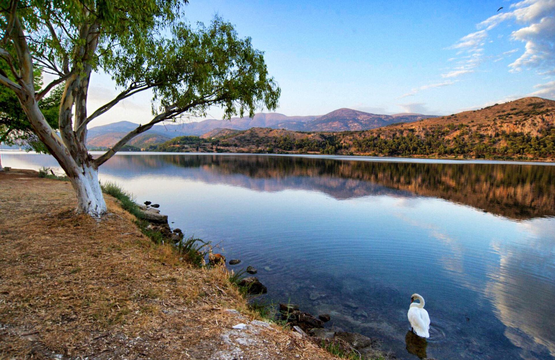 PAC_2672 Argostoli - Koutavos Lagoon